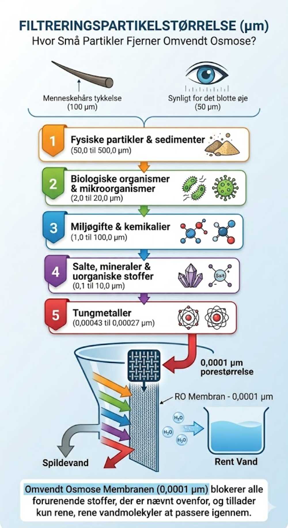 En vertikal infografik der viser porestørrelsen på en omvendt osmose membran og de mikroskopiske partikler, tungmetaller og PFAS, systemet fjerner.