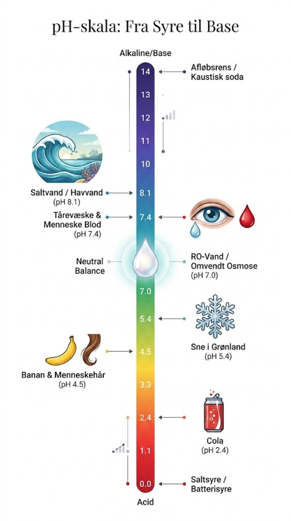 En vertikal infografisk pH-skala der viser syre-base-værdier for saltsyre, cola, blod, menneskehår og afløbsrens.