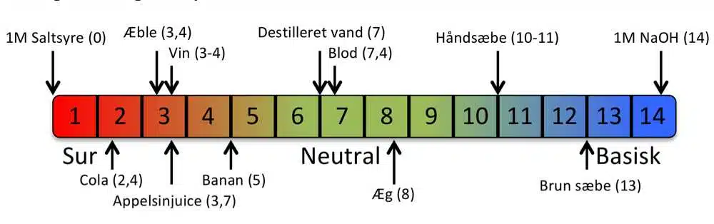 pH-skala med eksempler: saltsyre, cola, æble, vin, appelsinjuice, banan, destilleret vand, blod, æg, håndsæbe, brun sæbe, NaOH.